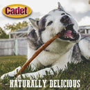 Cadet Bully Hide Sticks for Dogs - All - Natural Bully Stick & Beef Hide Dog Chews - Long Lasting Bully Sticks Alternative Made with 2 Ingredients - Dog Chews for Aggressive Chewers, Large - 768303705632