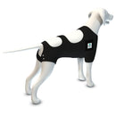 Calm Paws Behavior Support Calming Recovery Vest with Dog Calming Disc - Large - dig vest - 850014125431