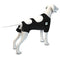 Calm Paws Behavior Support Calming Recovery Vest with Dog Calming Disc - Medium - dog vest - 850014125424