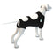 Calm Paws Behavior Support Calming Recovery Vest with Dog Calming Disc - Medium - dog vest - 850014125424