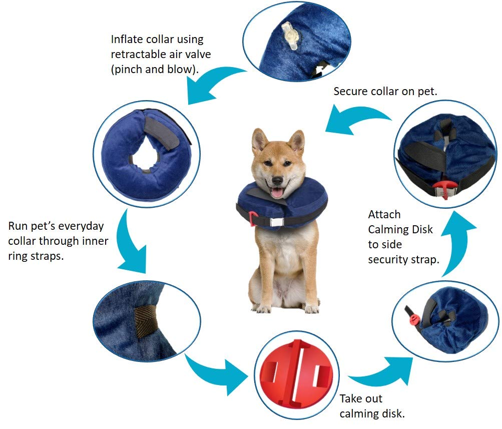 Calm Paws Behavior Support Protective Inflatable Collar with Dog Calming Disc - Medium - dog collar - 850014125998