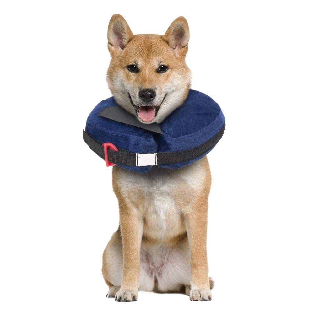 Calm Paws Behavior Support Protective Inflatable Collar with Dog Calming Disc - Medium - dog collar - 850014125998