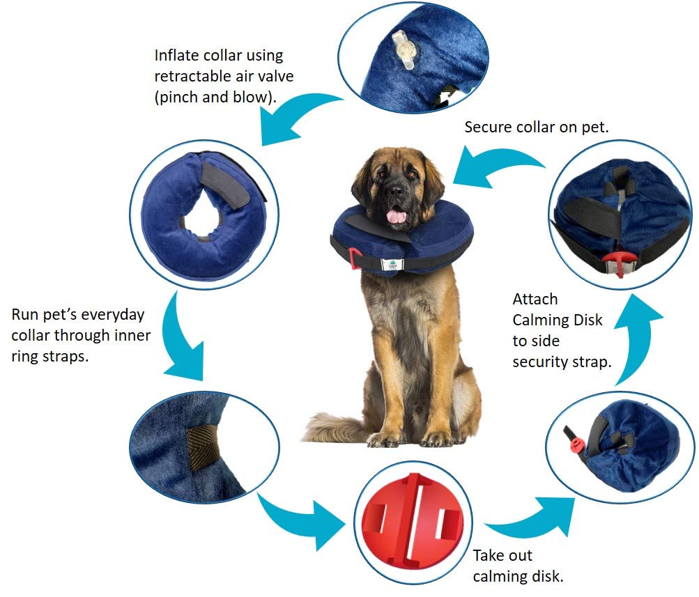 Calm Paws Behavior Support Protective Inflatable Collar with Dog Calming Disc - X - Large - dog collar - 850014125974