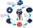 Calm Paws Behavior Support Protective Inflatable Collar with Dog Calming Disc - dog collar - 850014125011