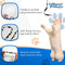 Cat Dancer Charmer Interactive Cat Toy - 093419300038