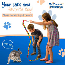 Cat Dancer Charmer Interactive Cat Toy - 093419300038