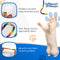 Cat Dancer Rainbow Charmer Cat Toy - 093419330332