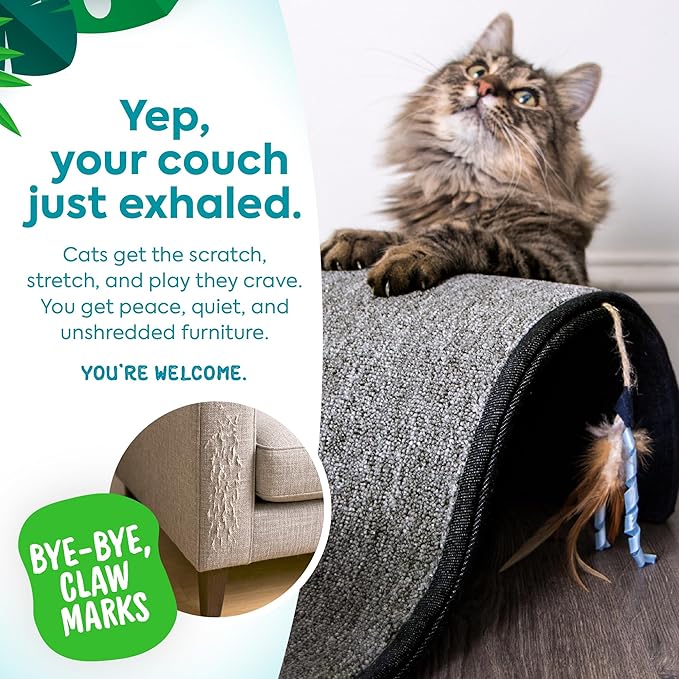 Cat scratcher curl by smartykat