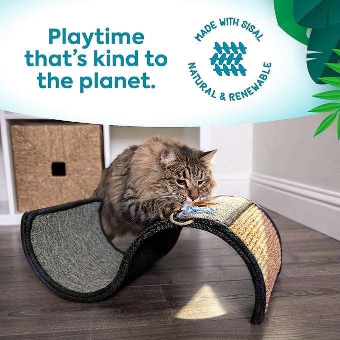 Cat scratcher curl by smartykat