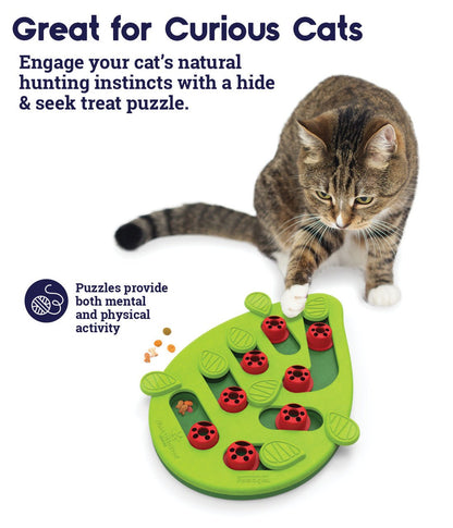 Cat stages buggin out puzzle play interactive food puzzle for curious cats