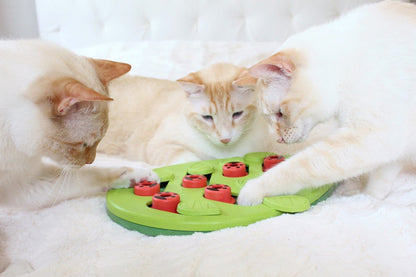 Cat stages buggin out puzzle play interactive food puzzle for curious cats