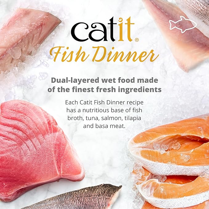 Catit fish dinner with layer of salmon and green beans