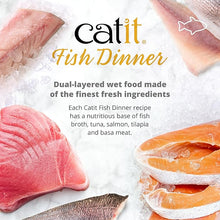 Catit fish dinner with layer of salmon and green beans