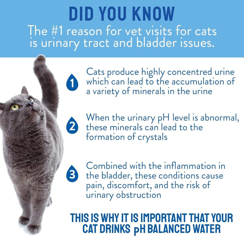 CATWATER ph - Balanced and Mineral - Free Cat Water - Clinically Proven Urinary Formula - 135.2 oz - By VETWATER - cat water - 628504601013