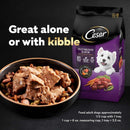 CESAR Adult Wet Dog Food Loaf & Topper in Sauce Filet Mignon Bacon & Potato, 3.5 Oz - 023100102665