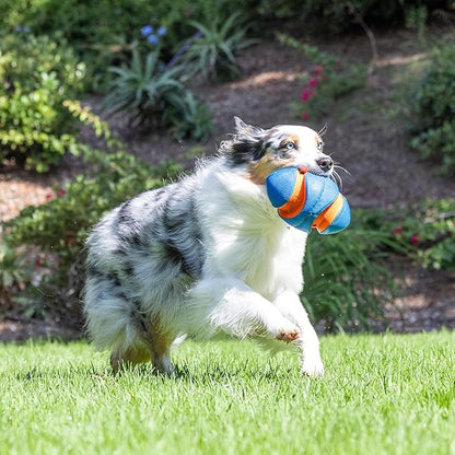 Chuck it giggle fumble fetch