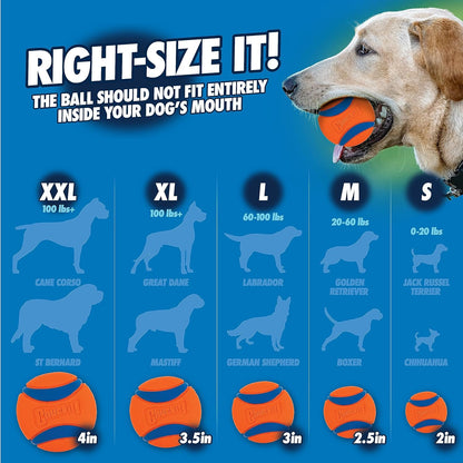 Chuck it M dog ball launcher 25