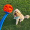 Chuckit Air Fetch Ball Dog Toy, Medium (2.5 Inch Diameter), for dogs 20 - 60 lbs - 029695319327