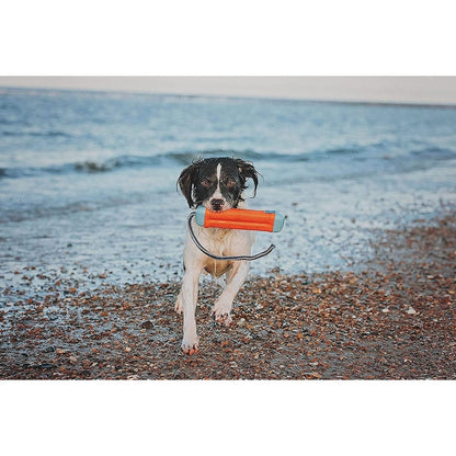 Chuckit! Amphibious Bumper Fetch and Float Dog Toy, Medium (Assorted Colors) - chuckit fetch - 660048183006