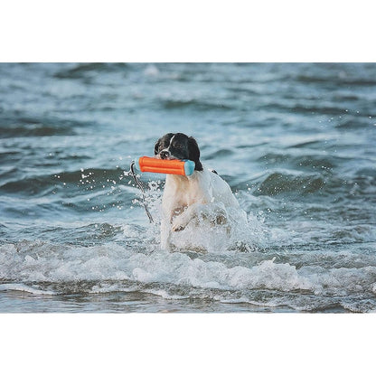 Chuckit! Amphibious Bumper Fetch and Float Dog Toy, Medium (Assorted Colors) - chuckit fetch - 660048183006
