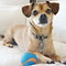 Chuckit Dog Ultra Squeaker Dog Ball, Small (2 Inch), Pack of 1, For Small Breeds - 029695520709