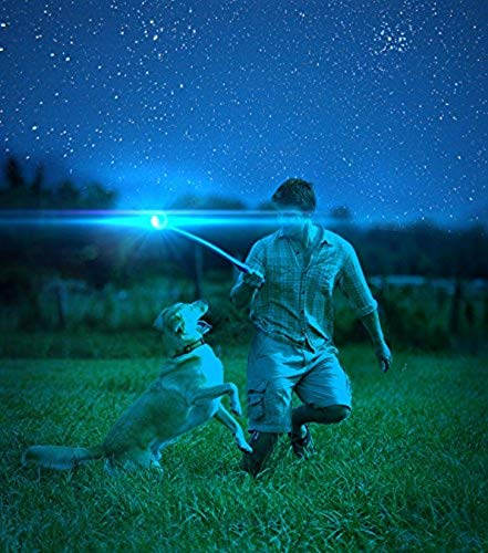 Chuckit! Max Glow Ball Dog Toy, Large (3 Inch Diameter) for Dogs 60 - 100 lbs, Pack of 1 - 029695323140