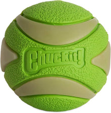 Chuckit max glow ultra squeaker ball dog toy medium sized ball