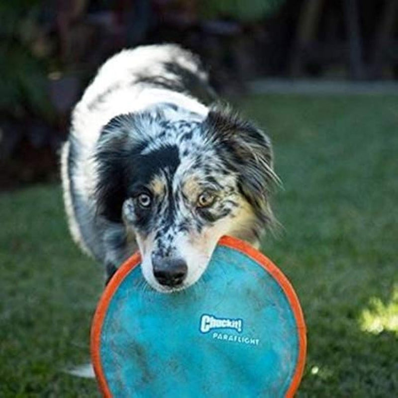 ChuckIt! Paraflight Flying Disc Dog Toy, Large (9.75"), Orange And Blue - flying dlg disc - 660048001904