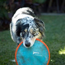 Chuckit! Paraflight Flying Disc Dog Toy, Small (6.75"), Orange and Blue - chuckit flying disc - 660048001898