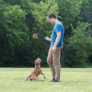 Chuckit! Ring Chaser Dog Ball Launcher Dog Toy Set, 22 Inch Length with 4.5 Inch Dog Ball Ring. - 029695321382