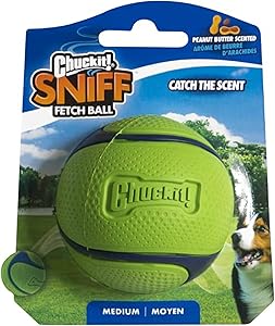 Chuckit sniff fetch ball dog toy medium sized dog toy peanut butter scented green