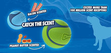 Chuckit sniff fetch ball medium sized 2 pack variety scented peanut butter & bacon