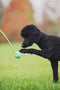 ChuckIt! Sport 14S Dog Ball Launcher, 14" Length, Small (2.0" Ball) For Dogs 0 - 20 Pounds - 660048069003