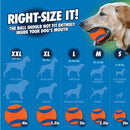 ChuckIt! Sport 26L Dog Ball Launcher, 26" Length, Includes Large Ball (3") For Dogs 60 - 100 Pounds - 660048067009