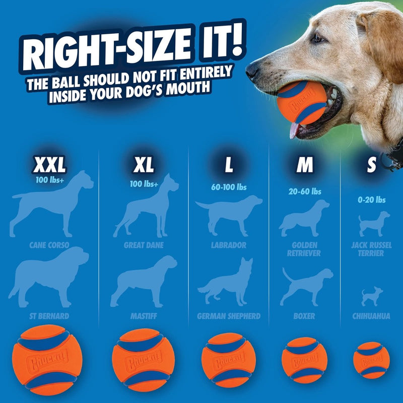 Chuckit! Ultra Ball Dog Toy, Medium (2.5 Inch Diameter) Pack of 1, for breeds 20 - 60 lbs - 660048001683