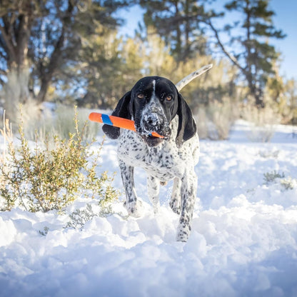 Chuckit Ultra Fetch Stick Outdoor Dog Toy - 12 Inches - For All Breed Sizes - dog fetch stick - 029695520884