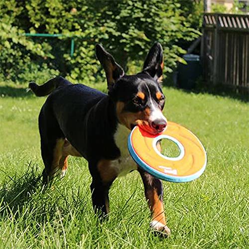Chuckit! Zipflight Amphibious Flying Ring - Assorted Small - 6 Inch Diameter