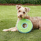 Chuckit Zipflight Flying Disc Dog Toy, Medium (8.5"), Orange and Blue - chuckit flying disc - 660048181002