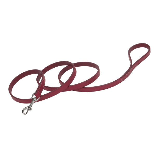 Circle T 6’ red leash for dogs