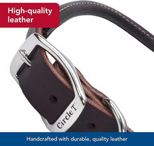 Circle T Oak Tanned Leather Round Standard Dog Collar, Black, Large: 22 - in neck, 1 - in wide