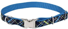 Coastal 18” - 26” dog collar - large