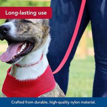 Coastal 6’ leash - pink