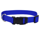 Coastal Adjustable Dog Collar with Plastic Buckle - Blue - 3/8" x 8" - 12" - dog collar - 076484046896