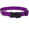 Coastal Adjustable Dog Collar with Plastic Buckle - Purple - 5/8" x 10" - 14" - dog collar - 076484046742