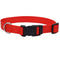 Coastal Adjustable Dog Collar with Plastic Buckle - Red - 1" x 18" - 26" - dog collar - 076484048012