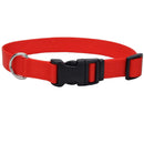 Coastal Adjustable Dog Collar with Plastic Buckle - Red - 3/4" x 14" - 20" - dog collar - 076484047015