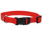 Coastal Adjustable Dog Collar with Plastic Buckle - Red - 3/4" x 14" - 20" - dog collar - 076484047015