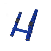 Coastal Pet Figure "H" Adjustable Cat Harness - Outdoor Cat Supply - Comfortable For Cats - Secure Snap - Lock Buckles - Blue, 3/8" X 10" - 18"