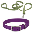 Coastal Pet Flat Buckle Double Ply Nylon Collars & Leads For Pet - dog collar - 076484067457