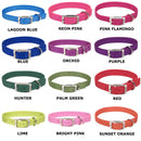 Coastal Pet Flat Buckle Double Ply Nylon Collars & Leads For Pet - dog collar - 076484067457